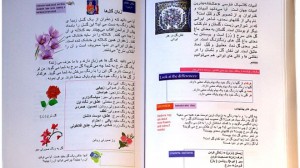 پارسی‌انجمن: در پاسداری و پالایش زبان پارسی -اینجا-و-اکنون-300x168 فارسی‌آموزی به غیر فارسی‌زبانان فارسی‌آموزی به غیر فارسی‌زبانان فارسی: این‌جا و اکنون پارسی انجمن